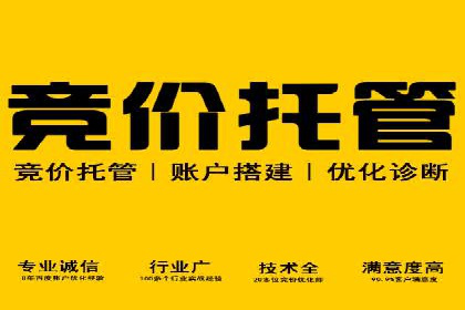 深度解析：sem代运营机构助力企业快速成长
